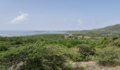 Excursión Senderismo Le Vauclin - Boucle Macabou via Morne Etoile - Photo 3