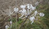 Tour Wandern Fleury-sur-Andelle - 20250121 Fleury sur Andelle - Photo 2