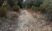 Tour Wandern Le Perthus - palissades.  la carboniere . fort de bellegrade . panissars - Photo 19