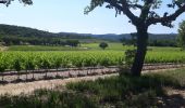 Randonnée Marche Cogolin - les hauts de Cavalaire - Photo 11