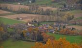 Tocht Te voet Conques-en-Rouergue - Terra Trail 13 - Photo 8