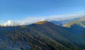 Tocht Stappen Thorame-Haute - VILLARS HEYSIER .CABAN DE CONGERMAN  - Photo 10