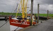 Tour Zu Fuß Wurster Nordseeküste - Die Deichroute Wanderweg - Dorum-Neufeld - Photo 4