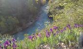 Randonnée Marche Val-Buëch-Méouge - ANTONAVES . PONT ROMAN . GORGES DE LA MEOUGE . ROCHER DU CHATEAU . O L M S  - Photo 13