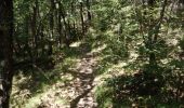 Percorso Marcia Montjoyer - Le ruisseau de citelles (Alerac 26) - Photo 10