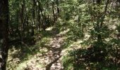 Tocht Stappen Montjoyer - Le ruisseau de citelles (Alerac 26) - Photo 10