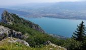 Tocht Stappen Le Bourget-du-Lac - DENT DU CHAT - MOLARD NOIR - Photo 9