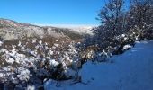 Trail Snowshoes Andon - Descente vers le Loup en raquettes - Photo 5