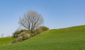 Trail On foot Warburg - Klima-Erlebnis-Route Hardehausen - Photo 9