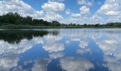 Tocht Stappen Le Cannet-des-Maures - z le lac des escarcets 08-06-21 - Photo 3