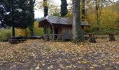 Excursión Senderismo Waldkirch - Waldkirch - grande boucle des ruines du Schwanzenberg - Photo 15