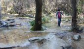 Trail Walking Claret - de valfaunes vers le moulin de la foux - Photo 4