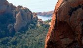 Trail Walking Saint-Raphaël - SityTrail - Pic de Cap Roux et la Grotte de Saint Baume - Photo 12