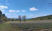 Tour Wandern Flassan - la chapelle St Jean d après le P´tit Craphut - pays du Ventoux Dentelles de Montmirail - Photo 15