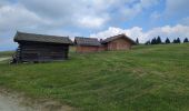 Excursión Senderismo Lüsen - Luson - Lüsner Alm - Rastnerhütte - Photo 16