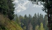 Percorso Marcia Theys - PINCERIE EN BOUCLE DEPUIS PIPAY - Photo 1