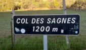 Trail Walking Bayons - BAYONS  . col des Sagnes , Peyrouret , Picouse , bergerie de Gautiere , Piaure , Giaire n - Photo 17