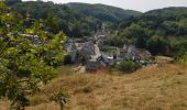 Tour Wandern Anhée - Denée Sosoye Denée 0818 - Photo 1