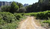 Tour Mountainbike Bédoin - Tour des dentelles depuis Bédoin  VTT AE - Photo 3