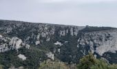 Randonnée Marche Cheval-Blanc - Gorges du Regalon version longue ( hautes pleines ) - Photo 5