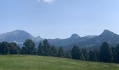 Tocht Elektrische fiets Saint-Agnan-en-Vercors - Traversée u Vercors  - Photo 6