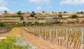 Tour Wandern Faugères - Faugères 16km - Photo 2