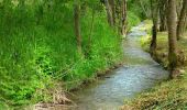 Randonnée Marche Herbeumont - Very Romantic Trail along the river 'L'antrogne' - Photo 1