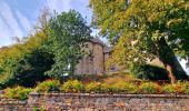 Trail Walking Combourg - Balade découverte de Combourg (hors groupe) J4 - Photo 6