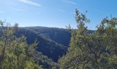 Tour Wandern Collobrières - collobrieres, Lambert, laquina - Photo 11