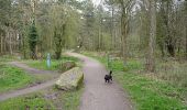 Tocht Te voet Unknown - Wilfred's Walk - Photo 3