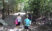 Tour Wandern Daverdisse - Porcheresse - Photo 11