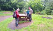 Tocht Stappen Guebwiller - Sandgrube - Munteraeckerle (14/05/2020) - Photo 3