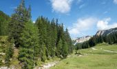 Randonnée A pied Cortina d'Ampezzo - IT-8 - Photo 8