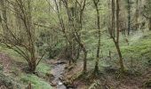 Tour Wandern Vindry-sur-Turdine - Autour de Saint loup  - Photo 5