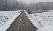 Excursión Senderismo Jemeppe-sur-Sambre - Balade à Spy 14/01/21 - Photo 1