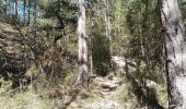 Trail Walking Aubignosc - aubignosc. les canyons. partie basse - Photo 1