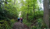 Trail Walking Le Puy-en-Velay - 1 Stevenson Le Puy en Velay - Le Monastier sur Gazeille - Photo 4