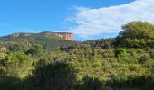 Excursión Senderismo Roquebrune-sur-Argens - La Bouverie - Gorges du Blavet - Grotte du Muéron - Photo 9