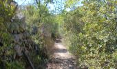 Randonnée Marche Ansignan - sentier des dolmens en fenouillèdes - Photo 17