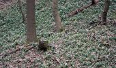 Percorso A piedi Artern - Quernetal-Heygendorf-Lodersleben - Photo 6