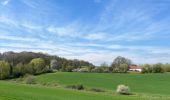 Tour Wandern Braine-le-Château - #230421 - Braine-le-Château > Bois d'Apecheau et d'Oisquerq, dont 4 km du GR 127 - Photo 7