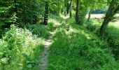 Percorso Marcia Vendôme - Randonnée dans le Bois de l'Oratoire à Vendôme  - Photo 2