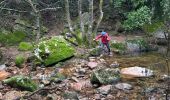 Percorso  Bagnols-en-Forêt - Gorges de Blavet pays de Fayence - Photo 6