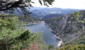 Randonnée Marche Orbey - Tour de lac Noir et du Lac Blanc  - Photo 14