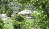 Randonnée Marche Olmi-Cappella - Sentier découverte dans la forêt de Tartagine - Photo 3