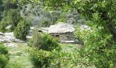 Percorso Marcia Olmi-Cappella - Randonnée dans la forêt de Tartagine - Photo 3