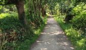 Trail Walking Carnac - Carnac - Photo 5