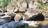 Tocht Stappen Peyre en Aubrac - Javols - Photo 2