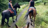 Trail Horseback riding Brouville - Avec Nadine Fred brouville grammont Tivio  - Photo 4