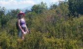 Trail Walking Rimon-et-Savel - Rimon-et-Savel CKCC - Photo 3